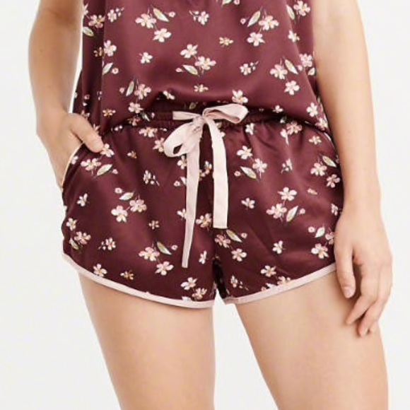 Abercrombie & Fitch Other - NWT Abercrombie & Fitch Satin Sleep Shorts